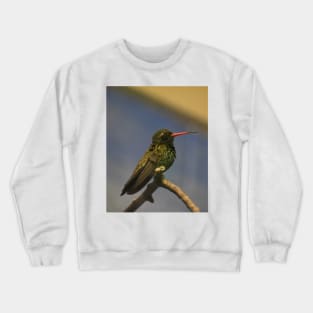 Broad-Billed Hummingbird Crewneck Sweatshirt